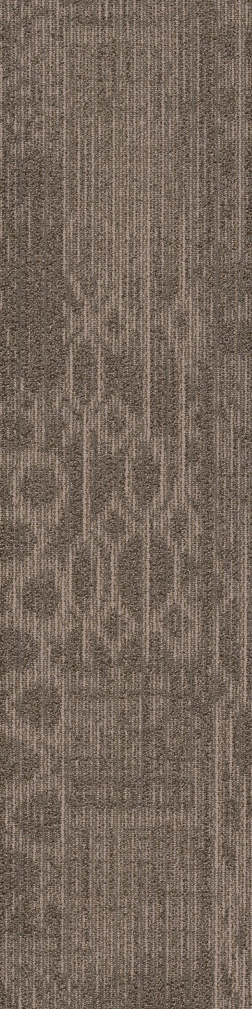 Medley Diapason 00501