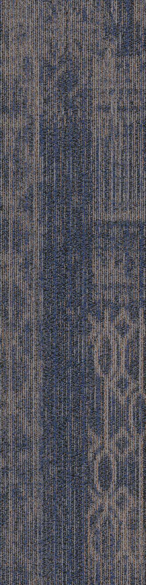 Medley Euphony 00400