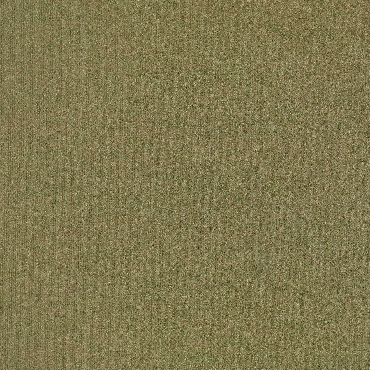 Metrowall II Ryegrass 34301
