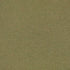 Metrowall II Ryegrass 34301