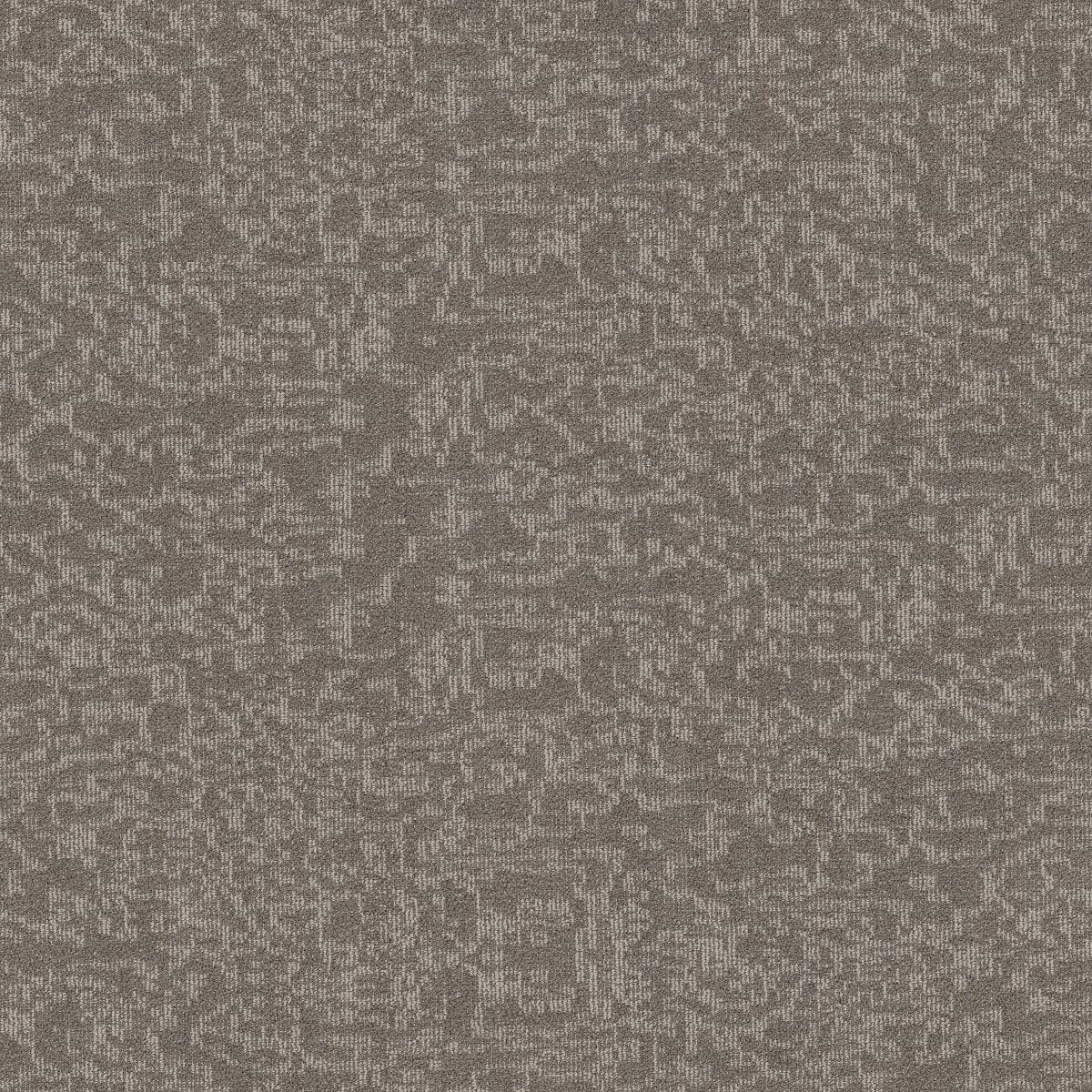 Mindful Movement Abalone 00502