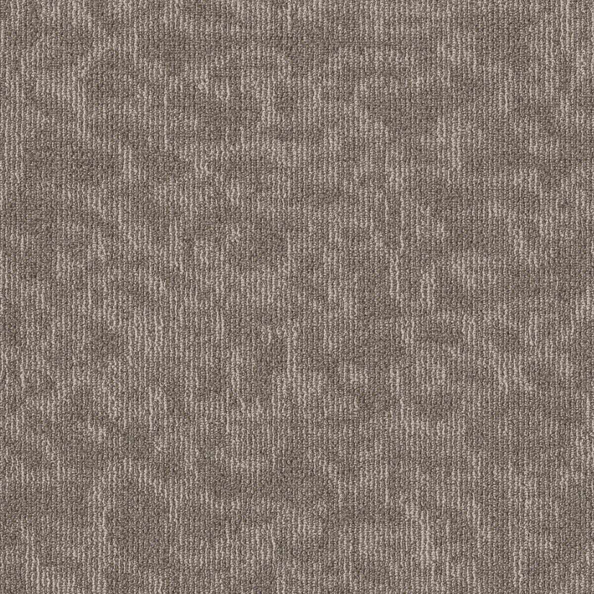 Mindful Movement TL Abalone 00502
