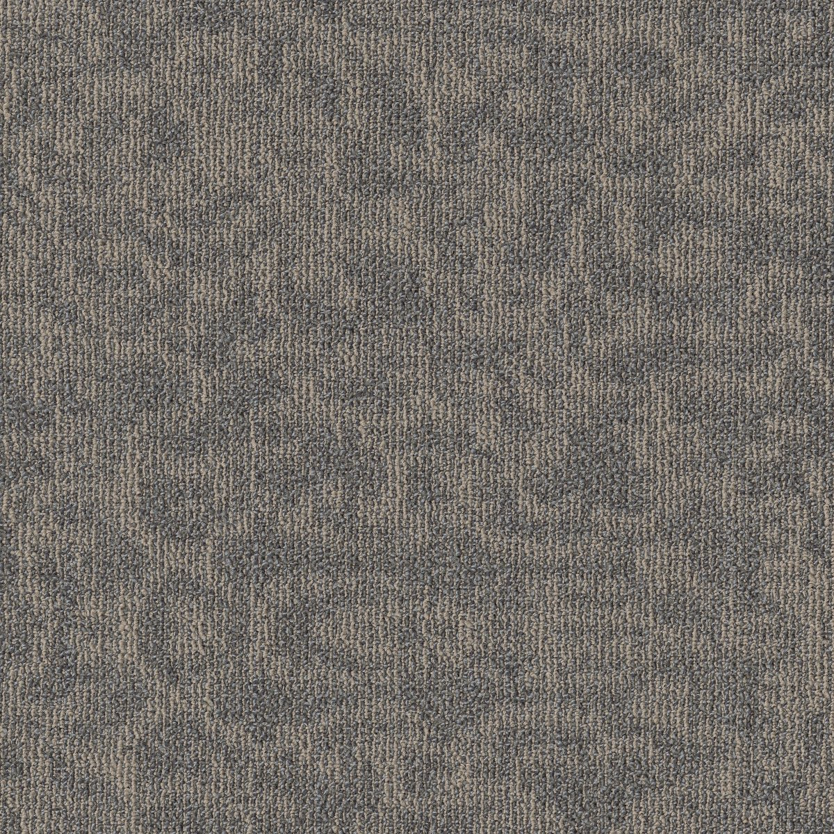 Mindful Movement TL Florentine 00506