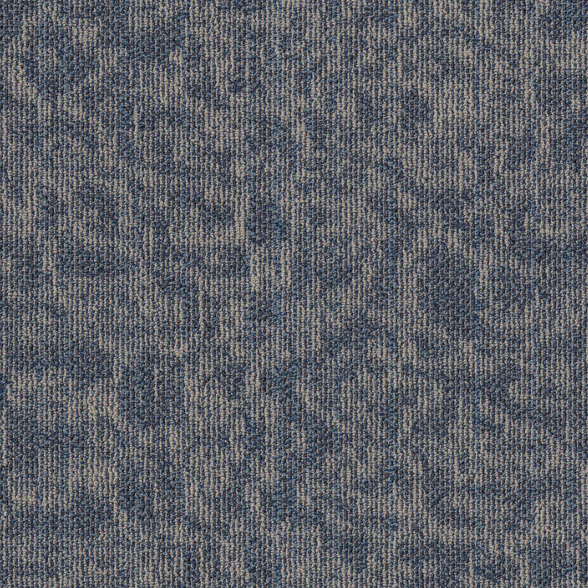 Mindful Movement TL Larkspur 00406