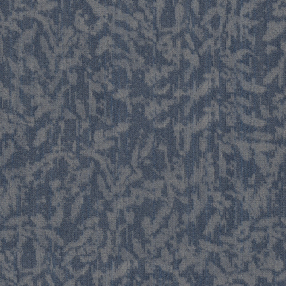 Modern Heirloom Larkspur 00406