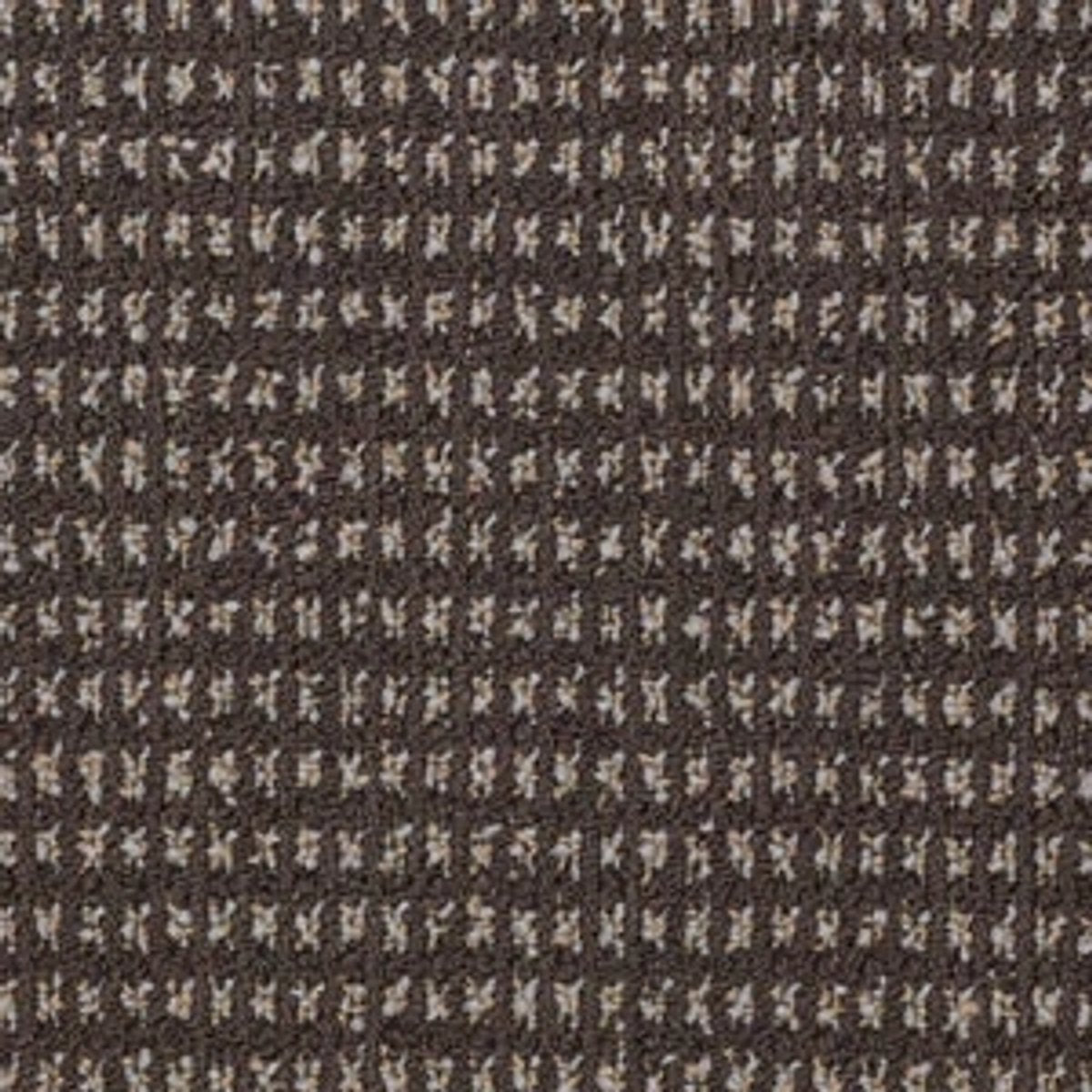 Modern Traditions Bark 07700