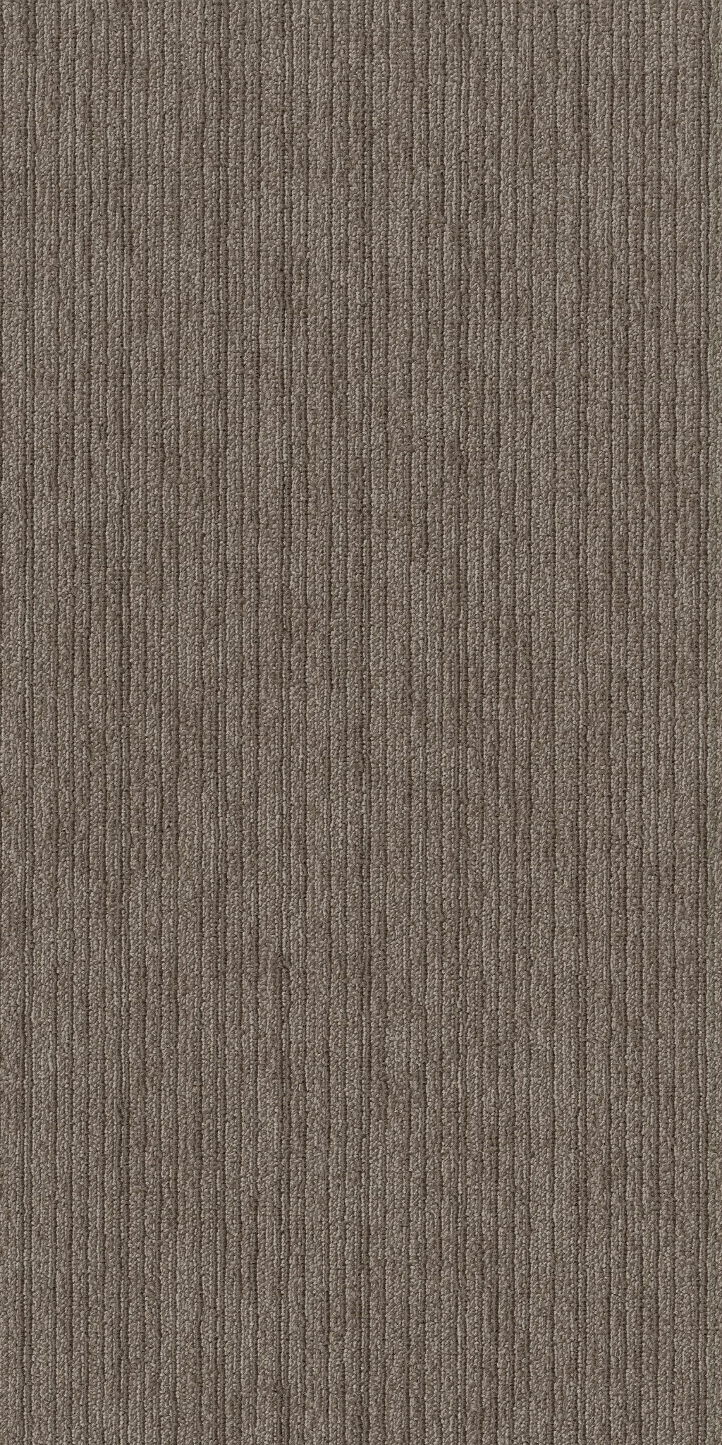 Mottled Sandalwood 00700