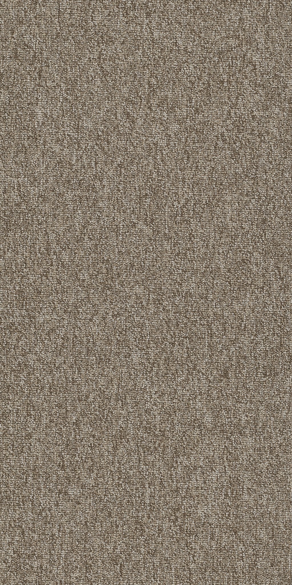 Multiplicity Cluster 00505