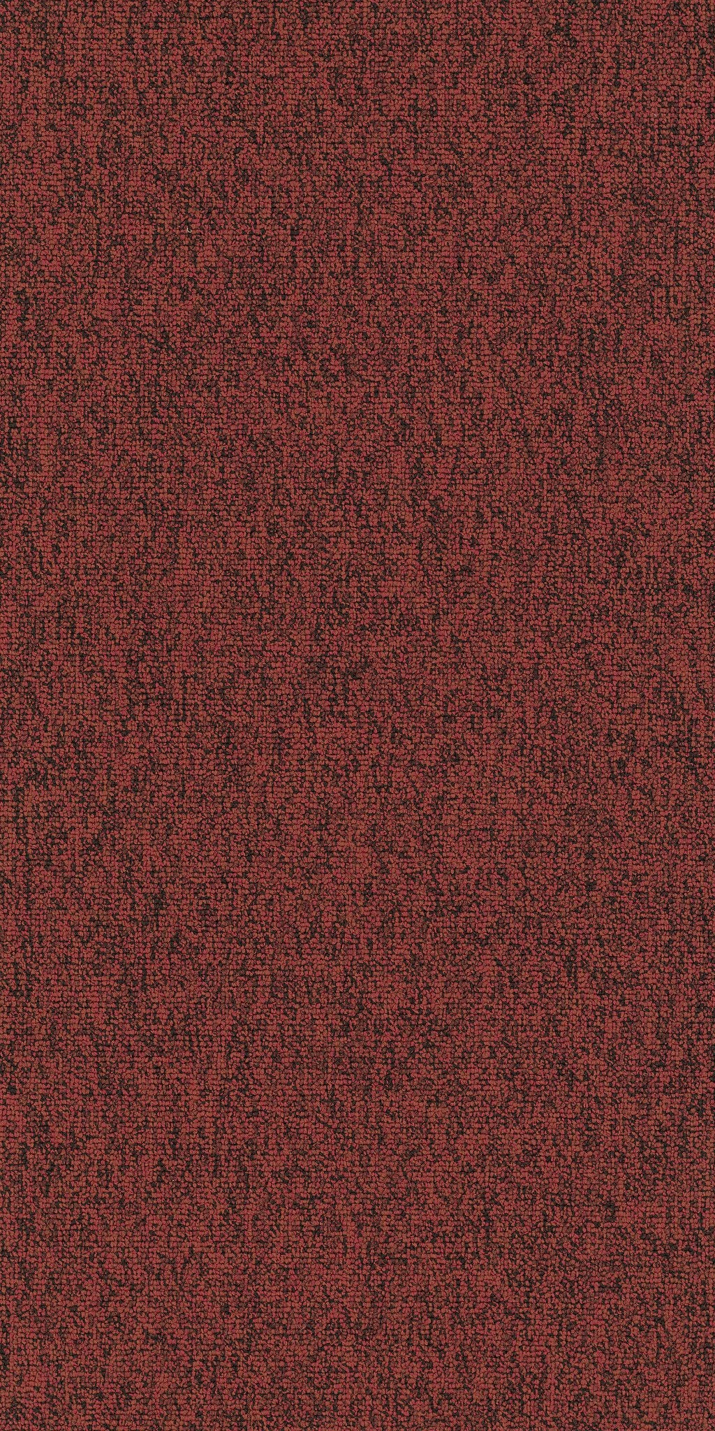 Multiplicity Fortune 00810