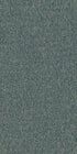 Multiplicity Overflow 00400
