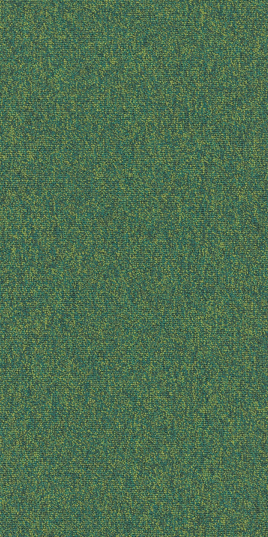 Multiplicity Profuse 00315