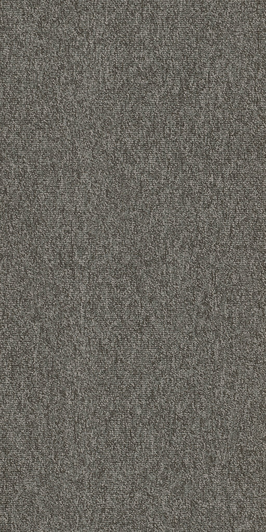 Multiplicity Surplus 00520