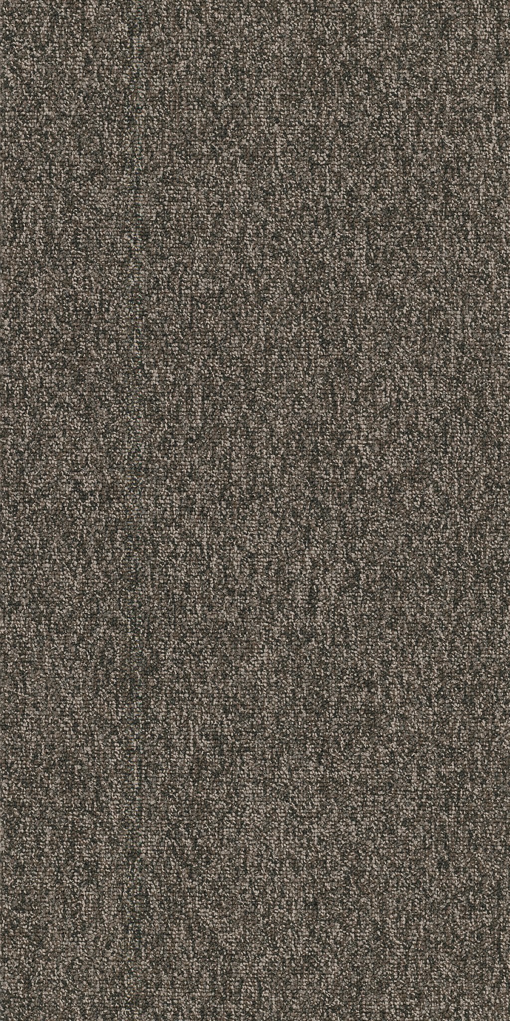 Multiplicity Volume 00710