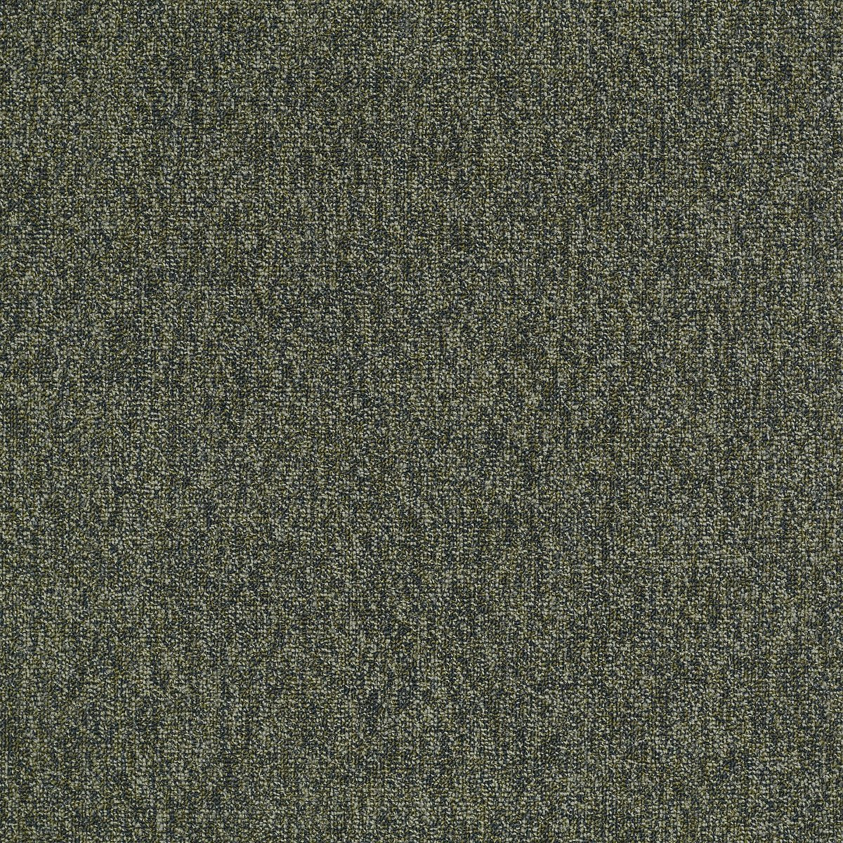 Multiplicity Heap 00300