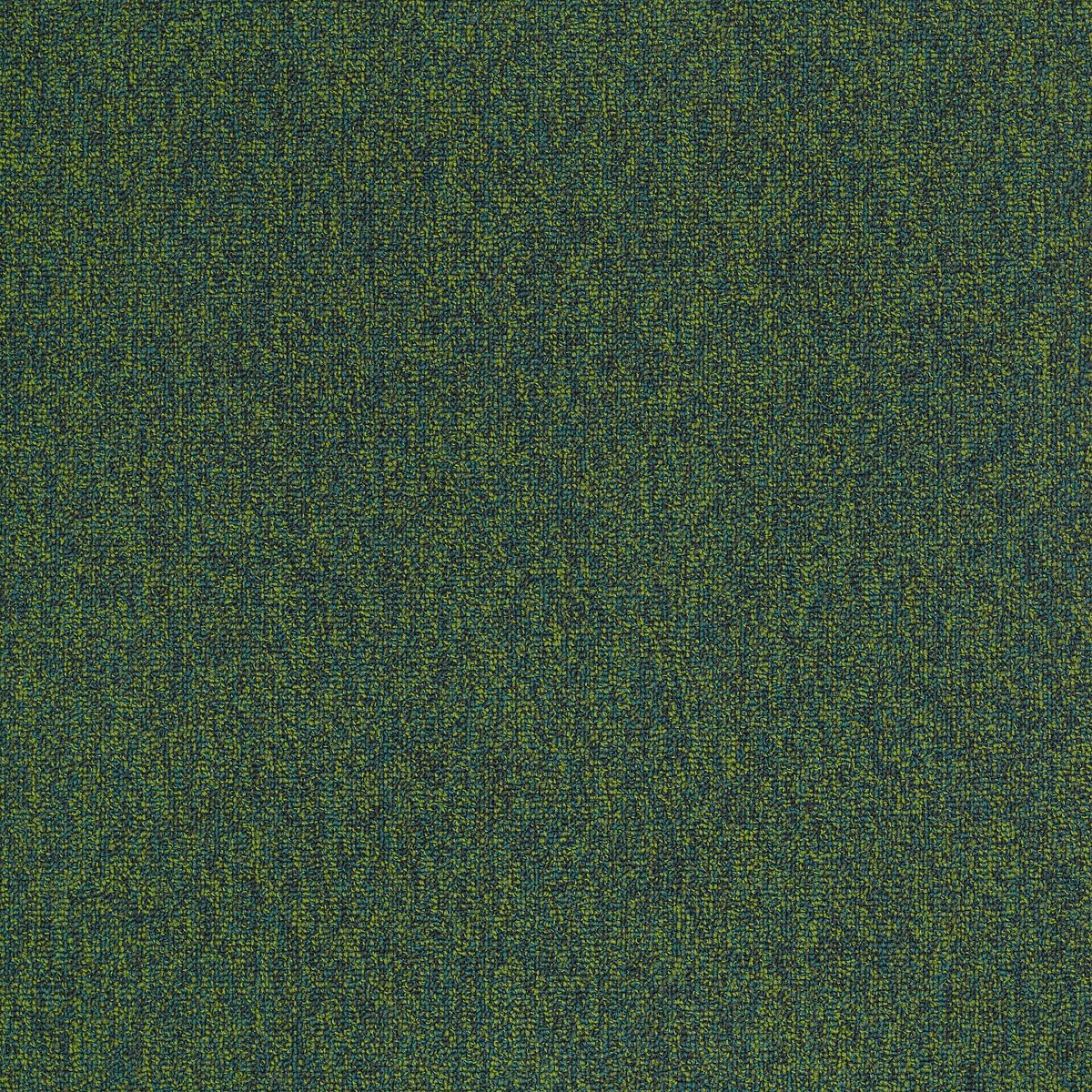 Multiplicity Profuse 00315