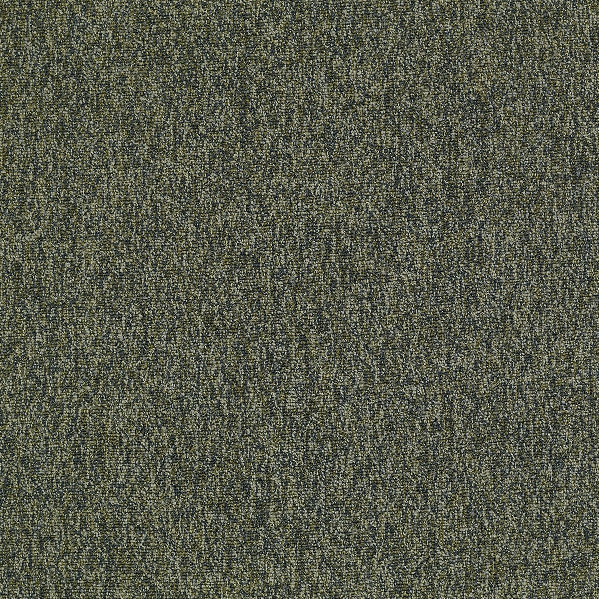 Multiplicity Heap 00300