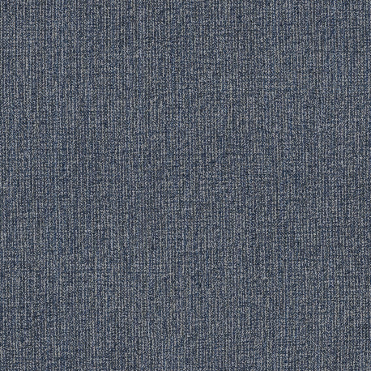 Muted Rhythms Larkspur 00406