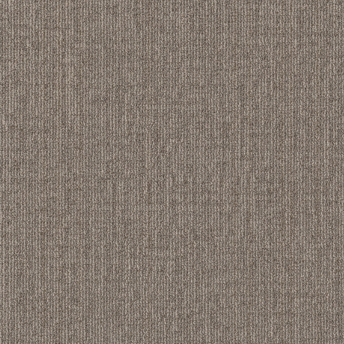 Muted Rhythms TL Abalone 00502