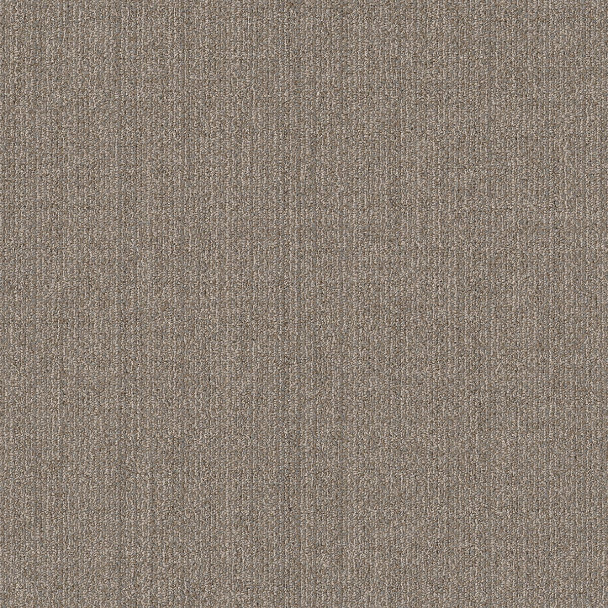 Muted Rhythms TL Chiffon 00200