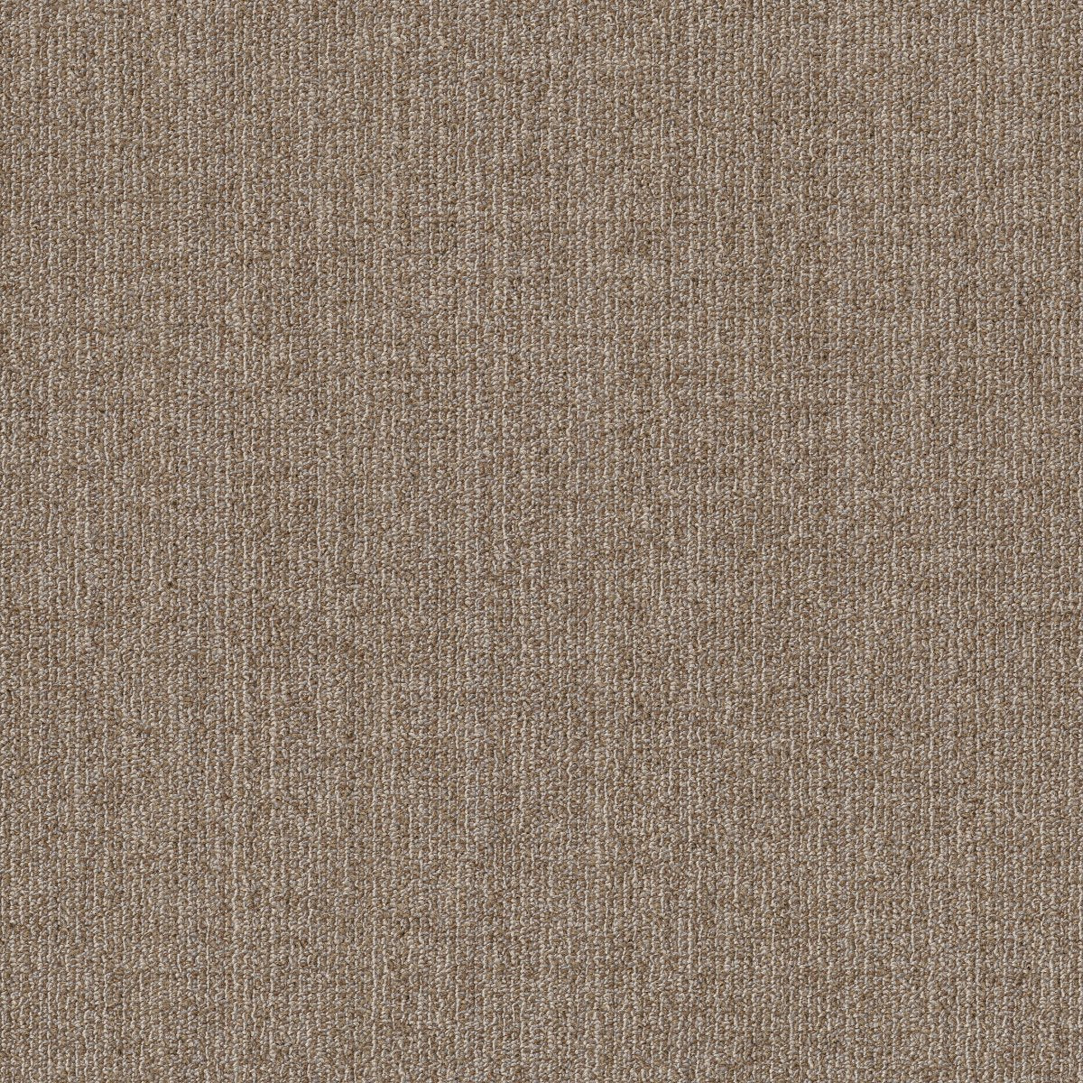 Muted Rhythms TL Flaxen 00202