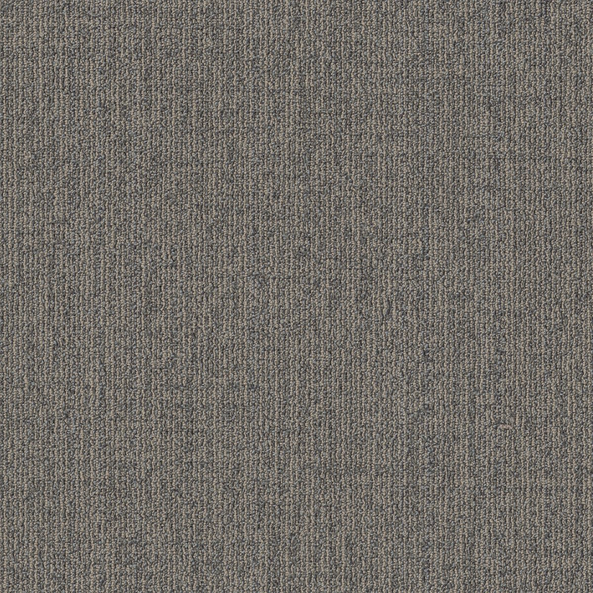Muted Rhythms TL Florentine 00506