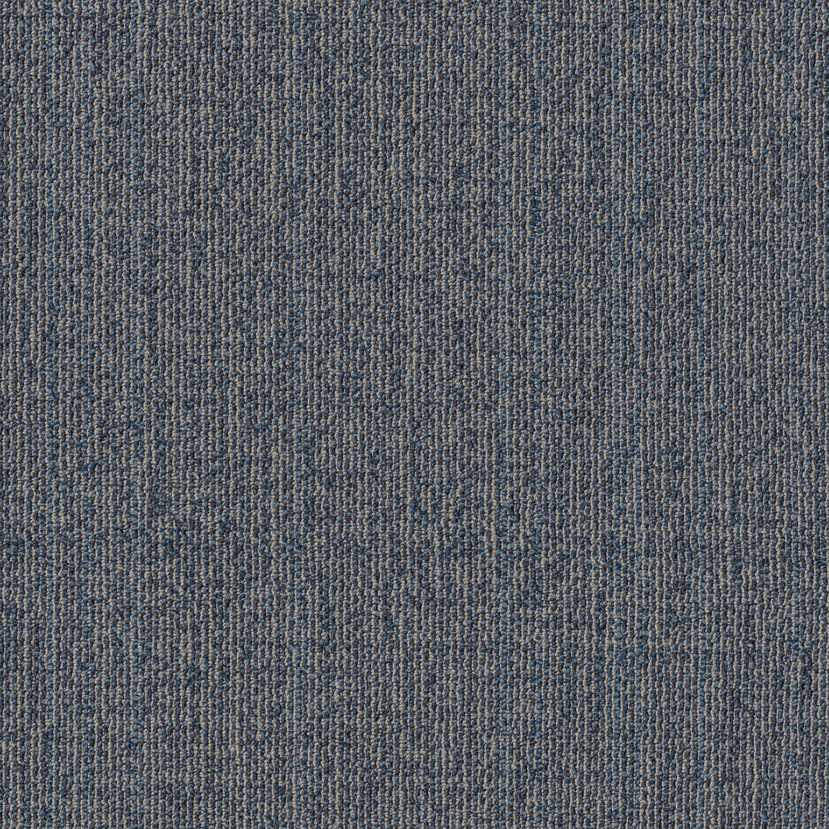 Muted Rhythms TL Larkspur 00406