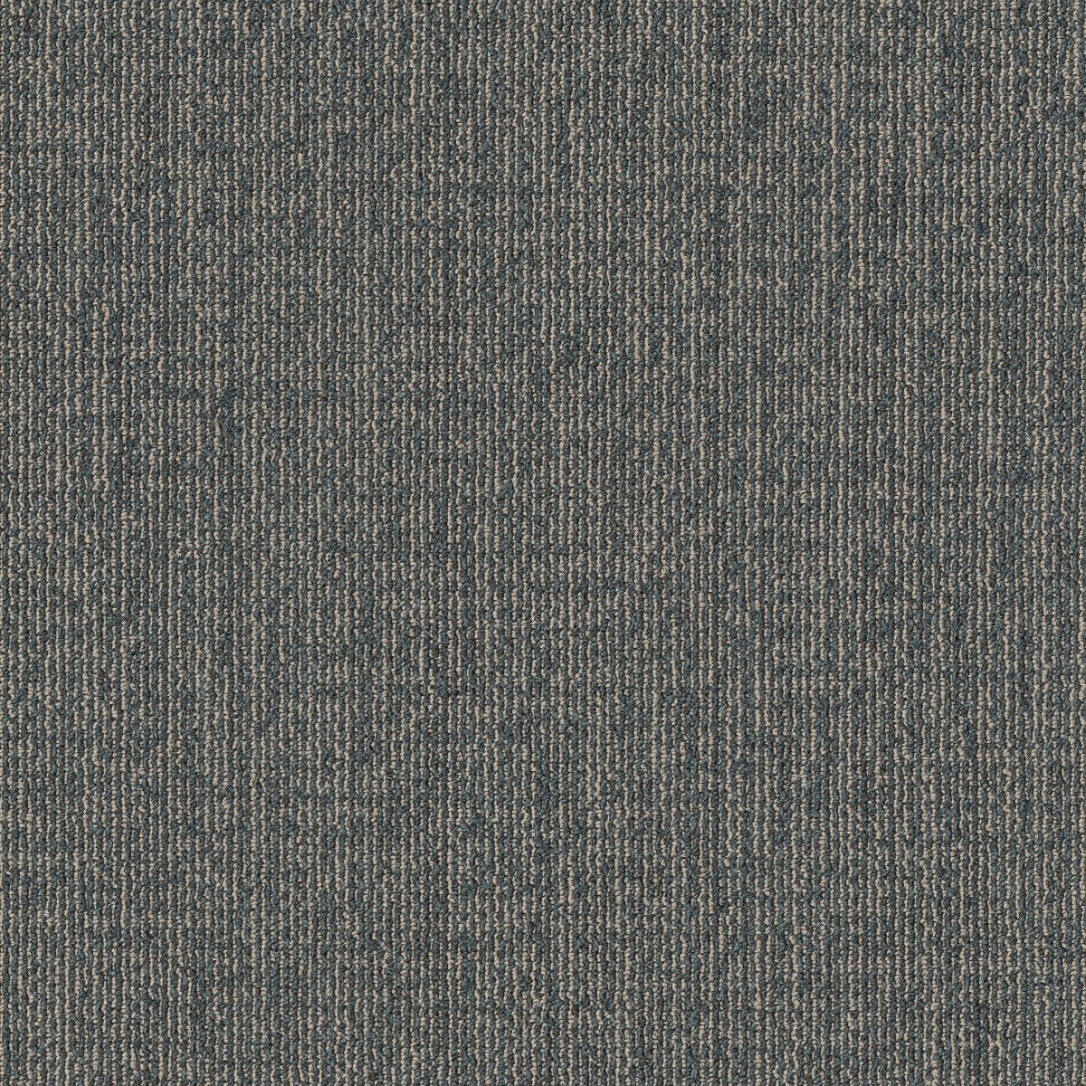 Muted Rhythms TL Peacock 00408