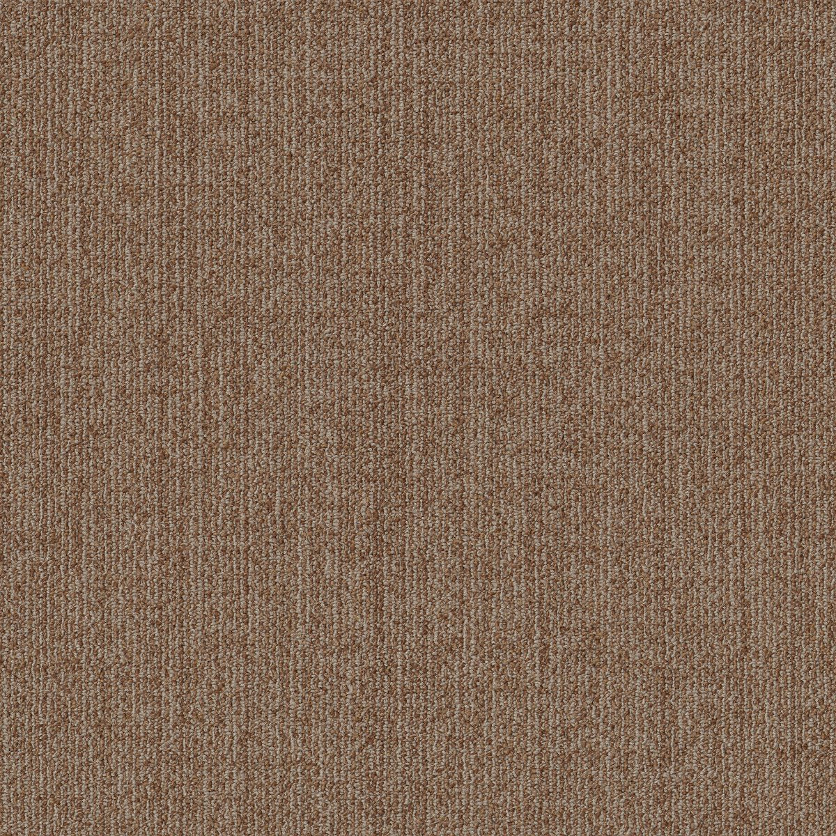 Muted Rhythms TL Saddle 00700