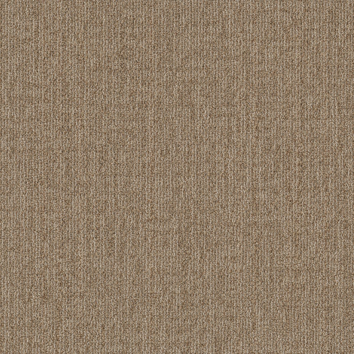 Muted Rhythms TL Windsor Tan 00208