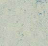 Marmoleum Cinch Loc Seal Square - Bluemoon 12" x 12" - GreenFlooringSupply.com