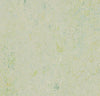 Marmoleum Cinch Loc Seal Square - Salsa Verde 12" x 12" - GreenFlooringSupply.com