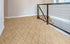 Antrim Broadloom Wool Carpet Maze Garden – 15 ft wide room scene - GreenFlooringSupply.com