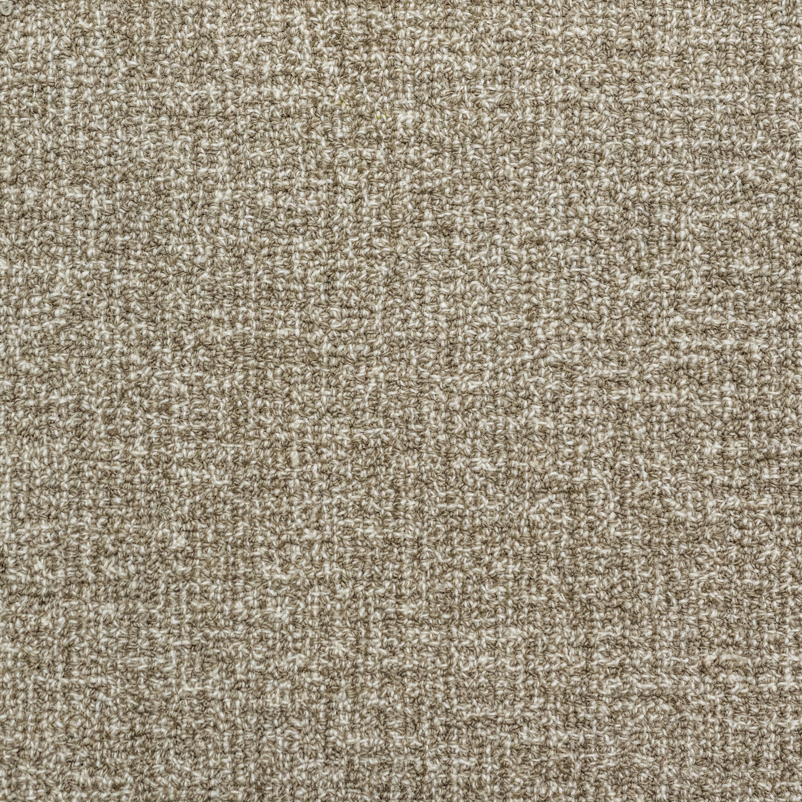 5243 Wet Sand