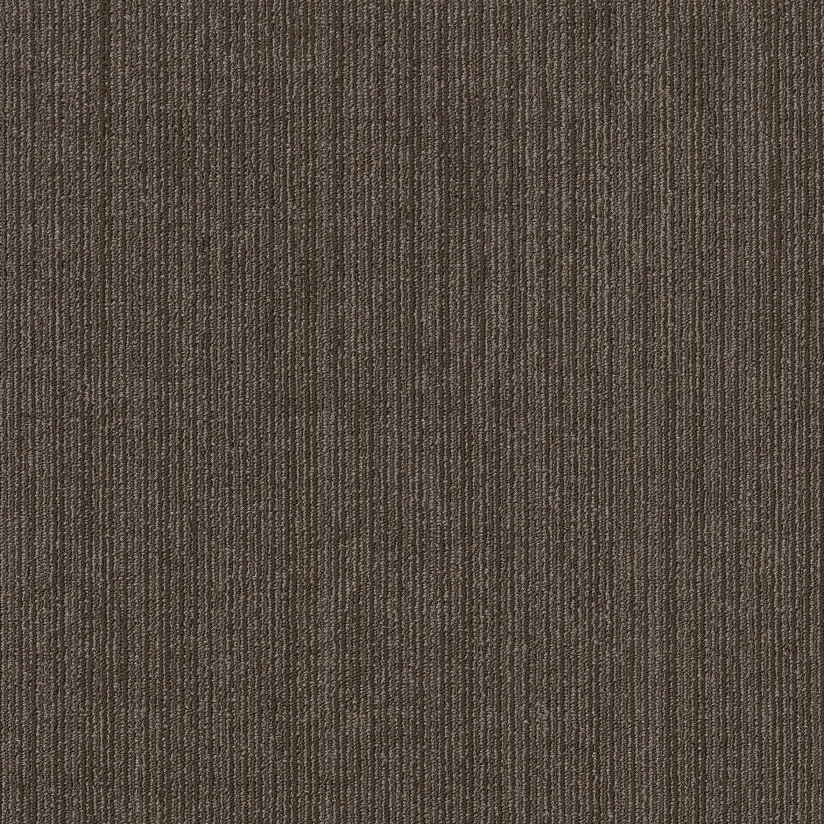 Native Indigenous 00200