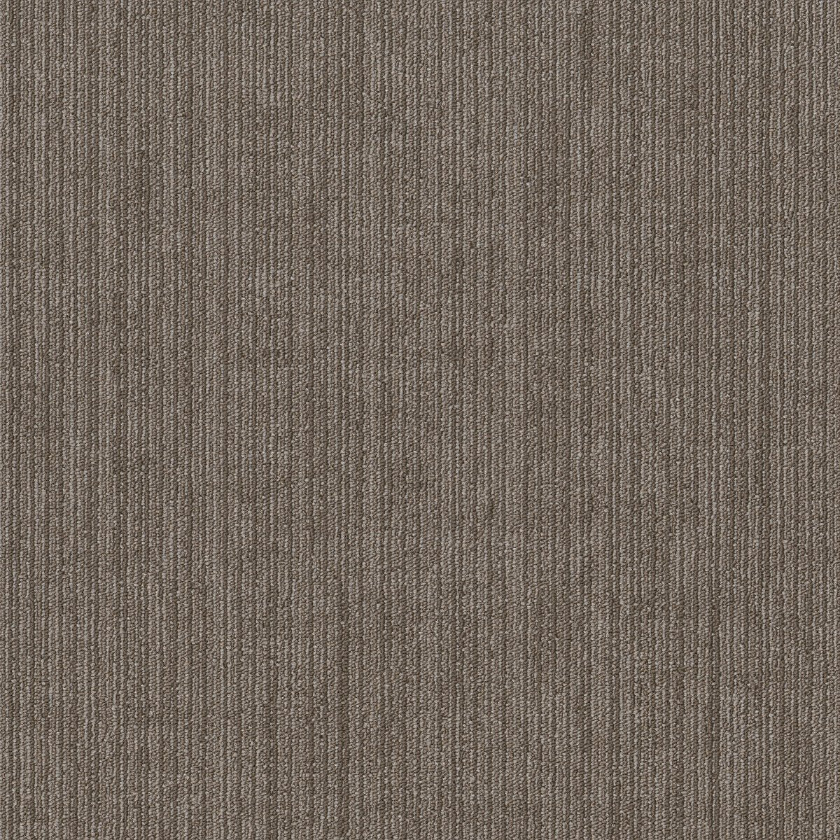 Native Prime 00100