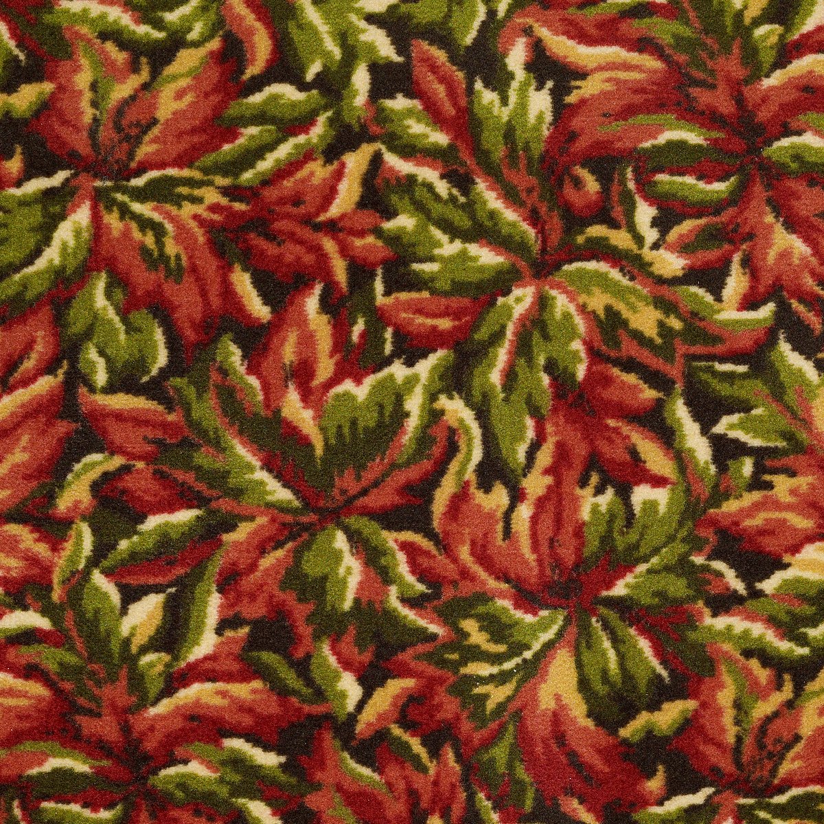 New Bay Fruitwood 05800