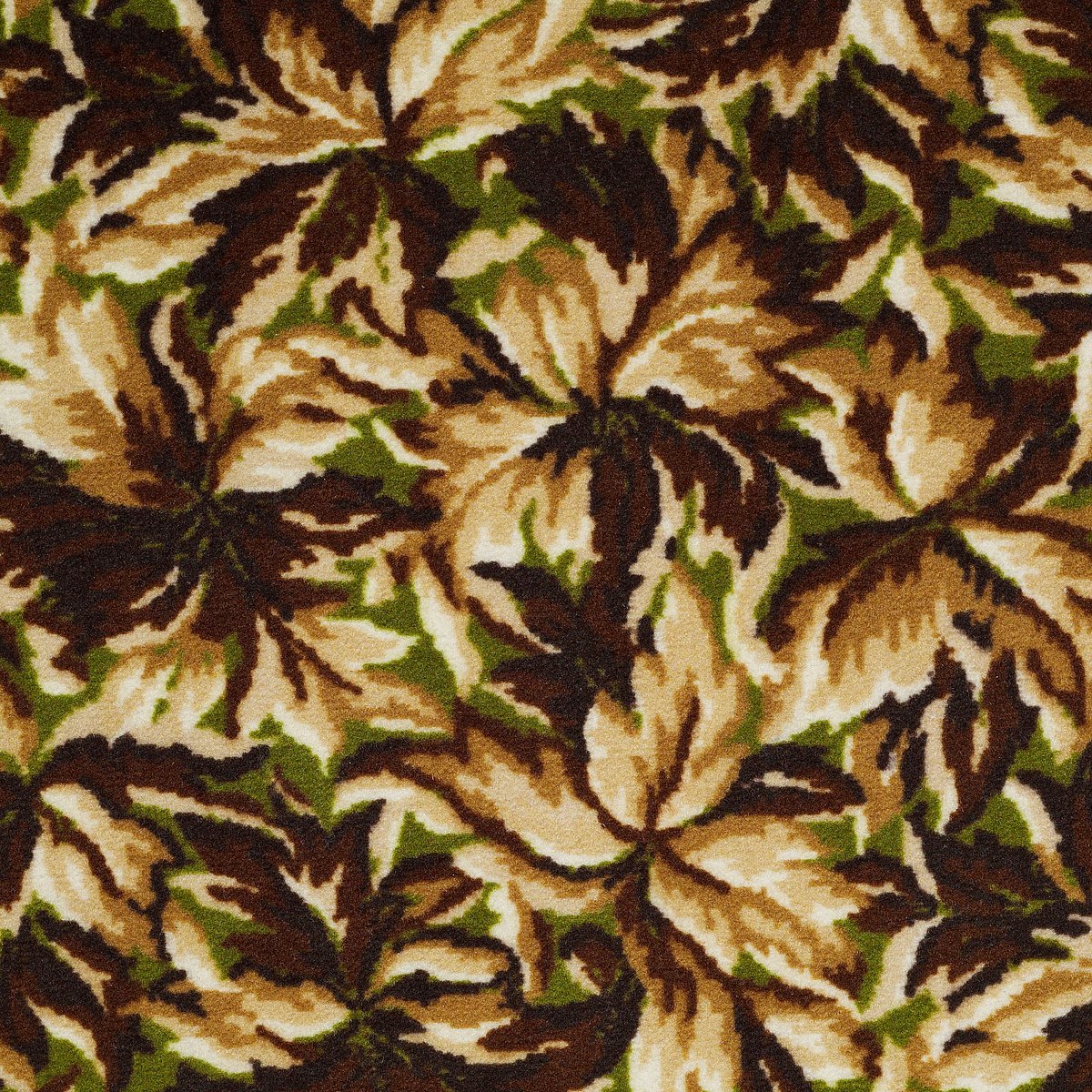 New Bay Hawthorn 05700