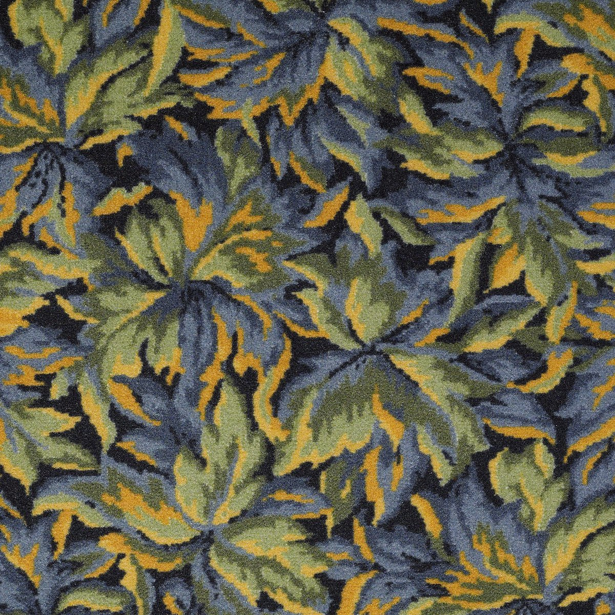 New Bay Juniper 05400
