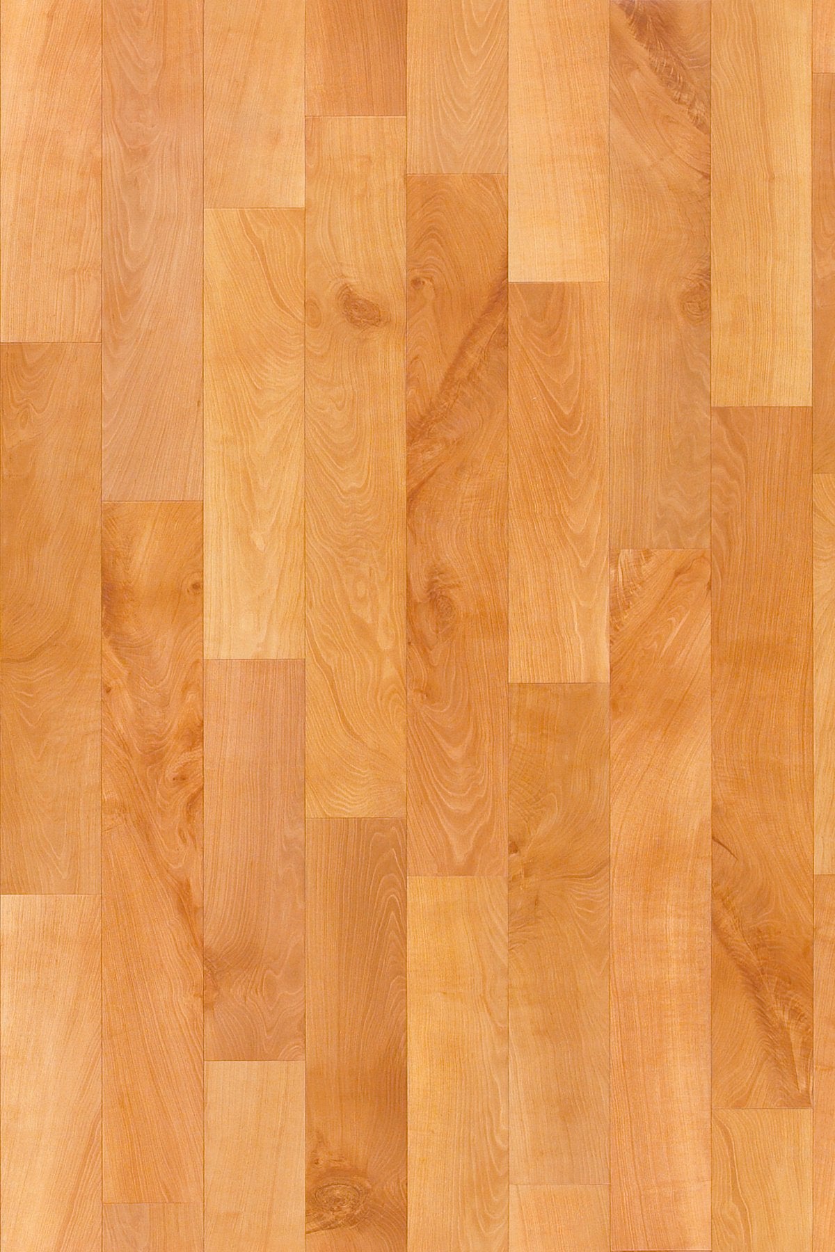 Organic Structure Lively 08311