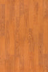 Organic Structure Spicy 05303