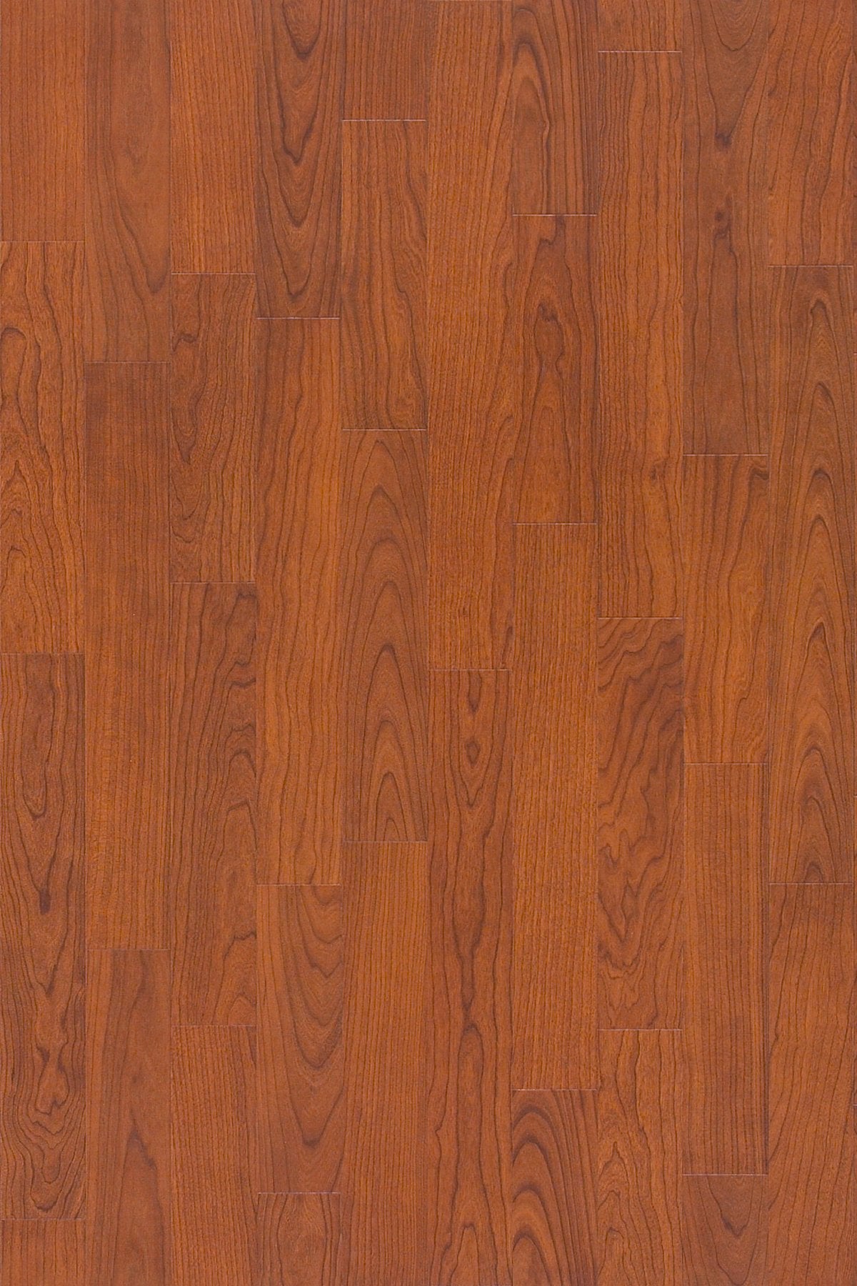 Organic Structure Tango 05306