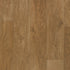 Organic Structure Toast 09634