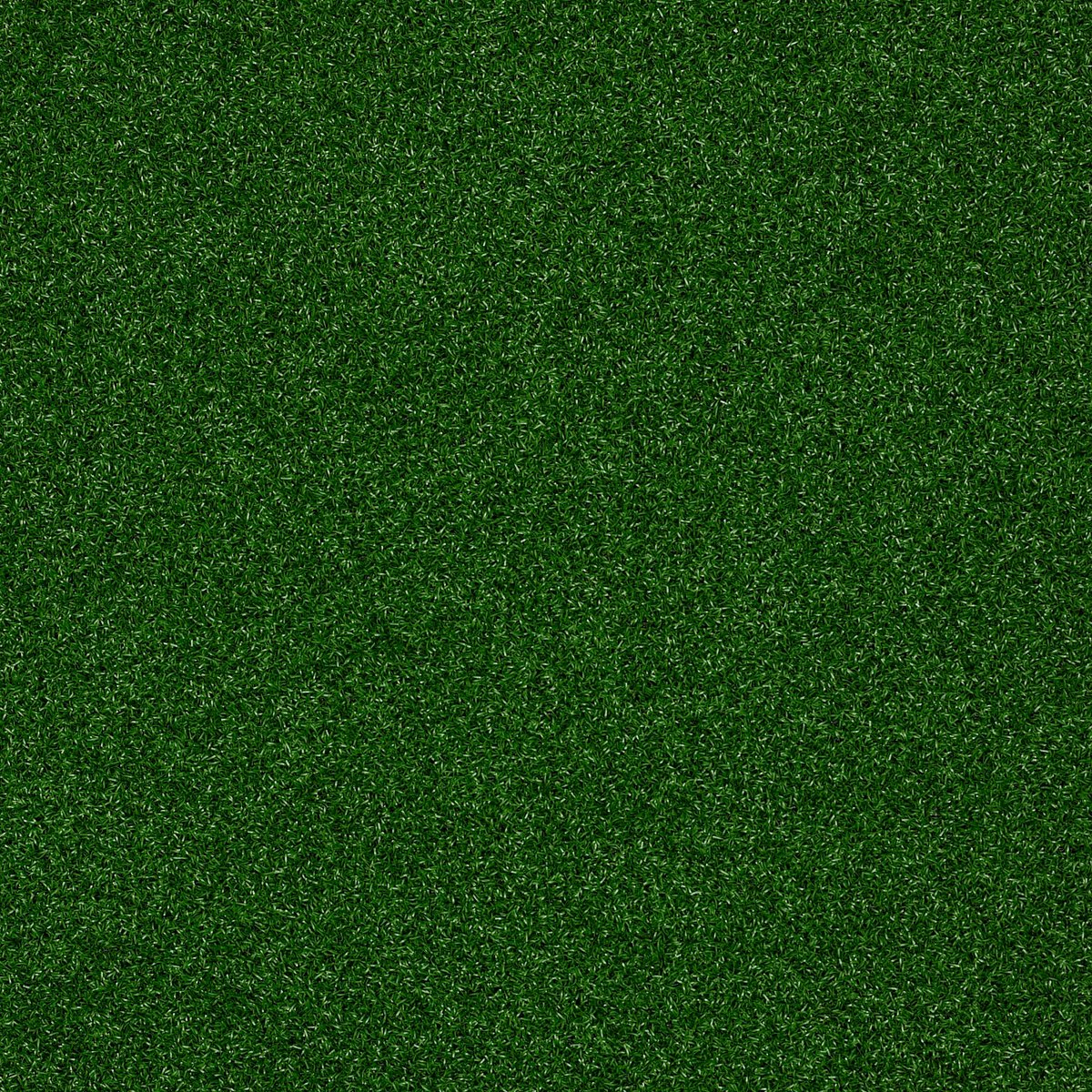 Park Central Infield 00300