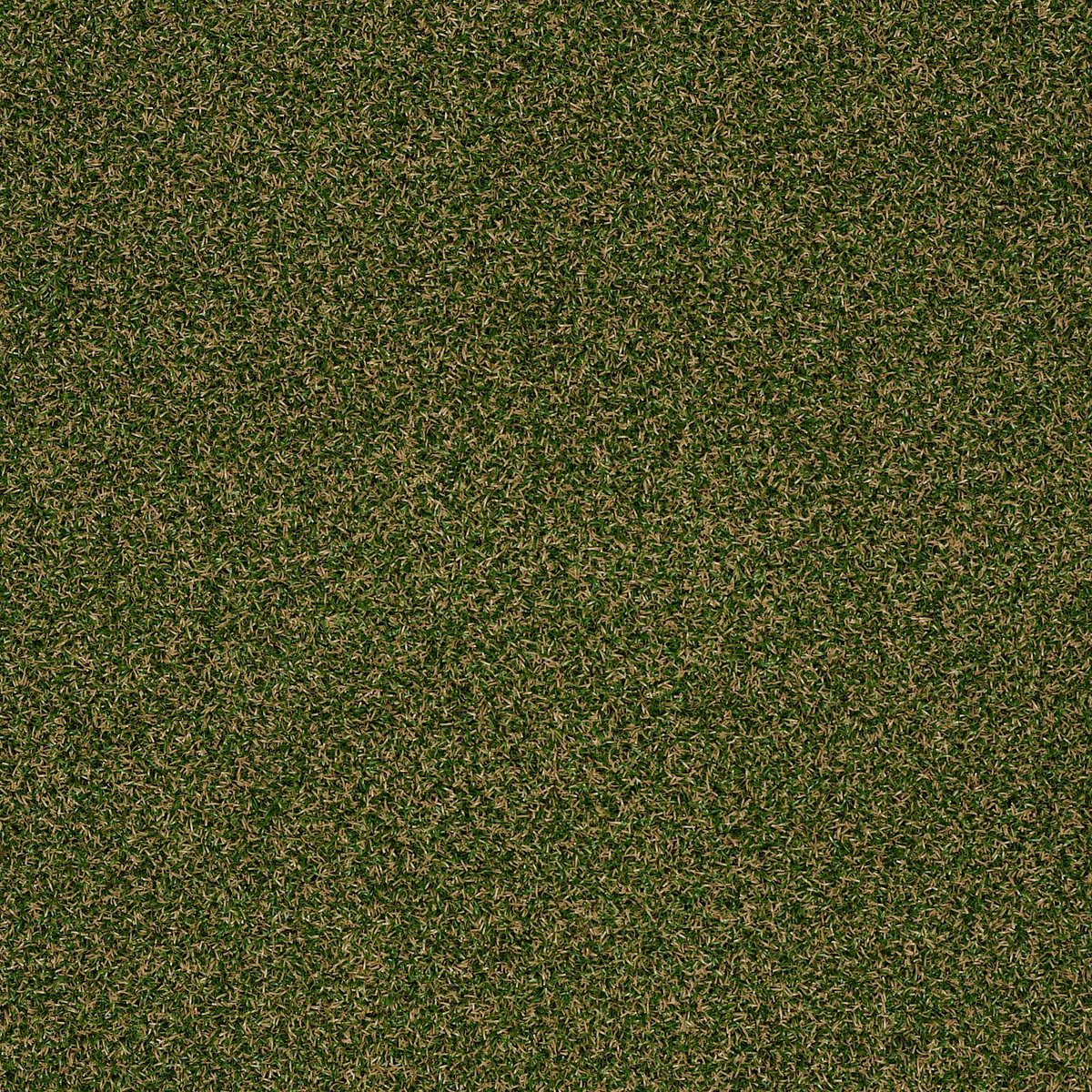 Park Central Sea Grass 00310