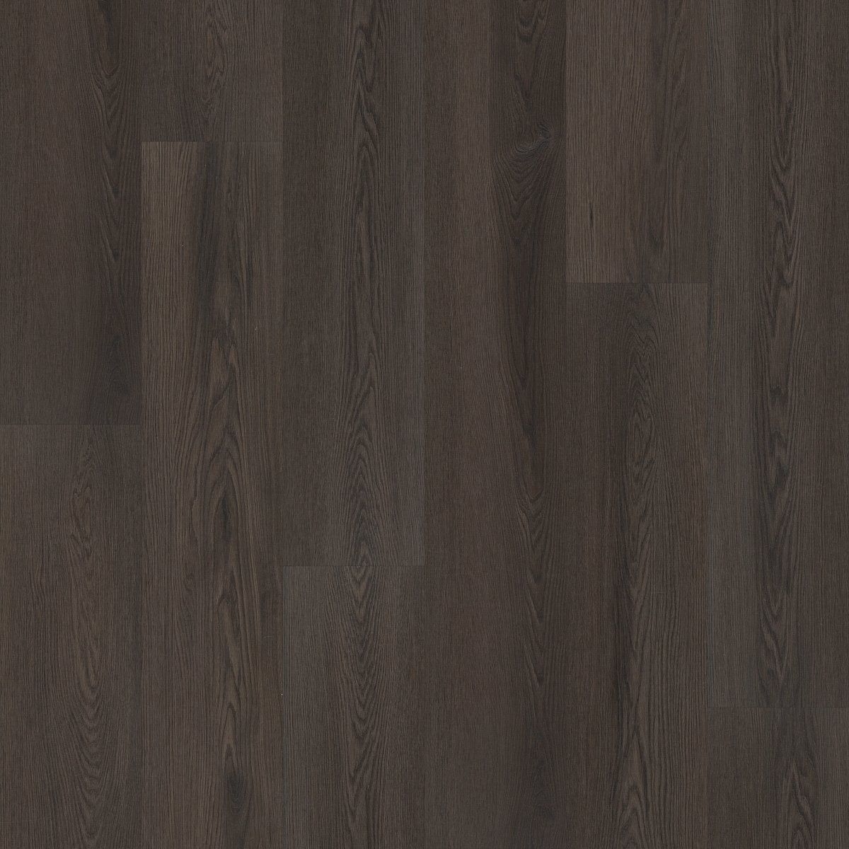 Philosopher's Tree Burnished Timbe 00709
