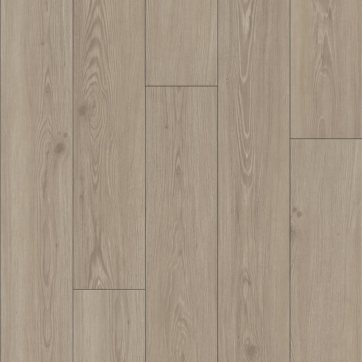 Pioneer Plank 12 Dawn 01239