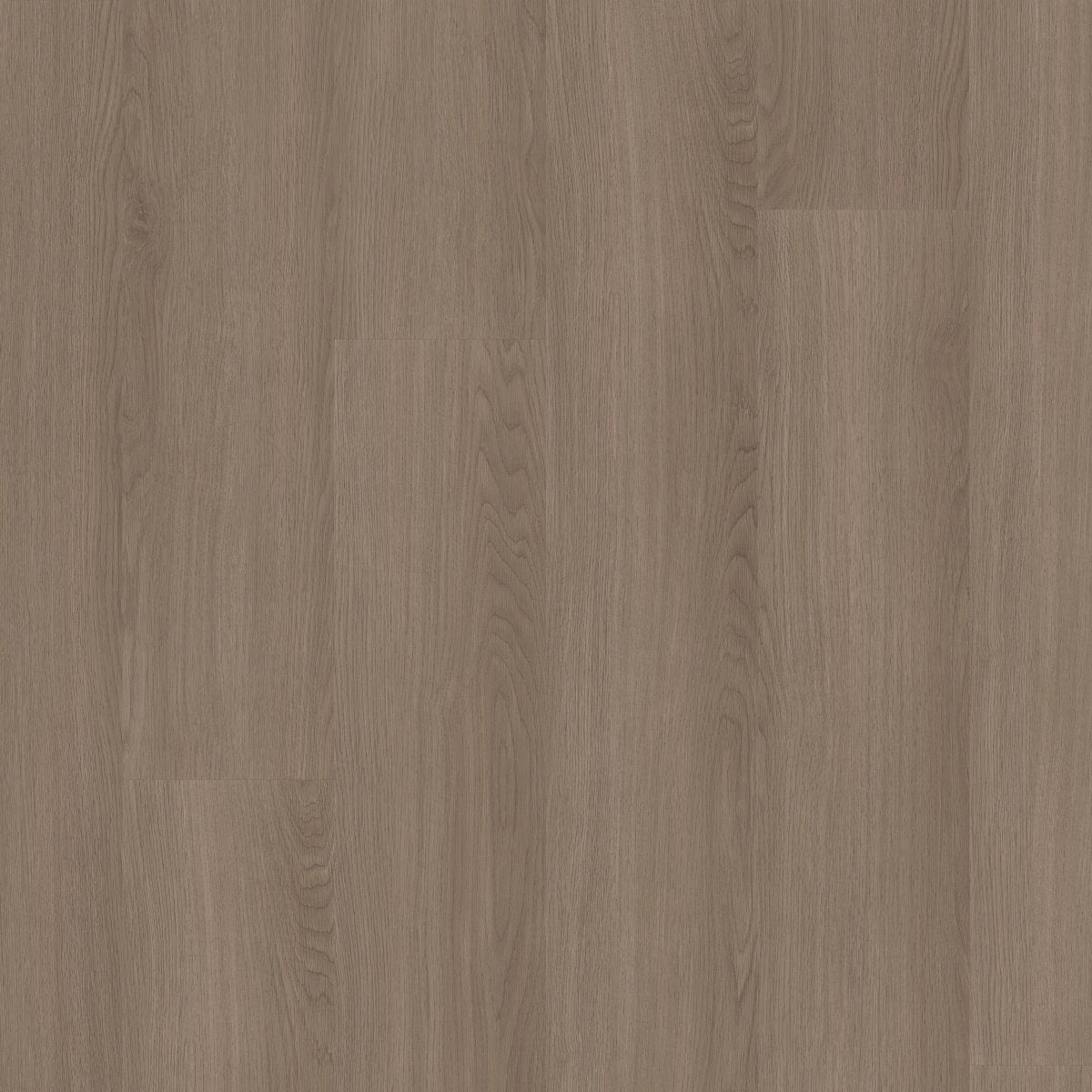 Pioneer Plank 12 Dune 07355