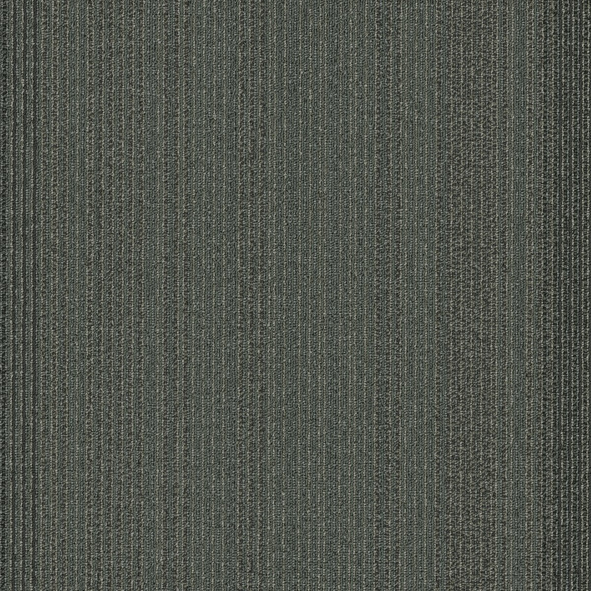 Practical Astute 24505