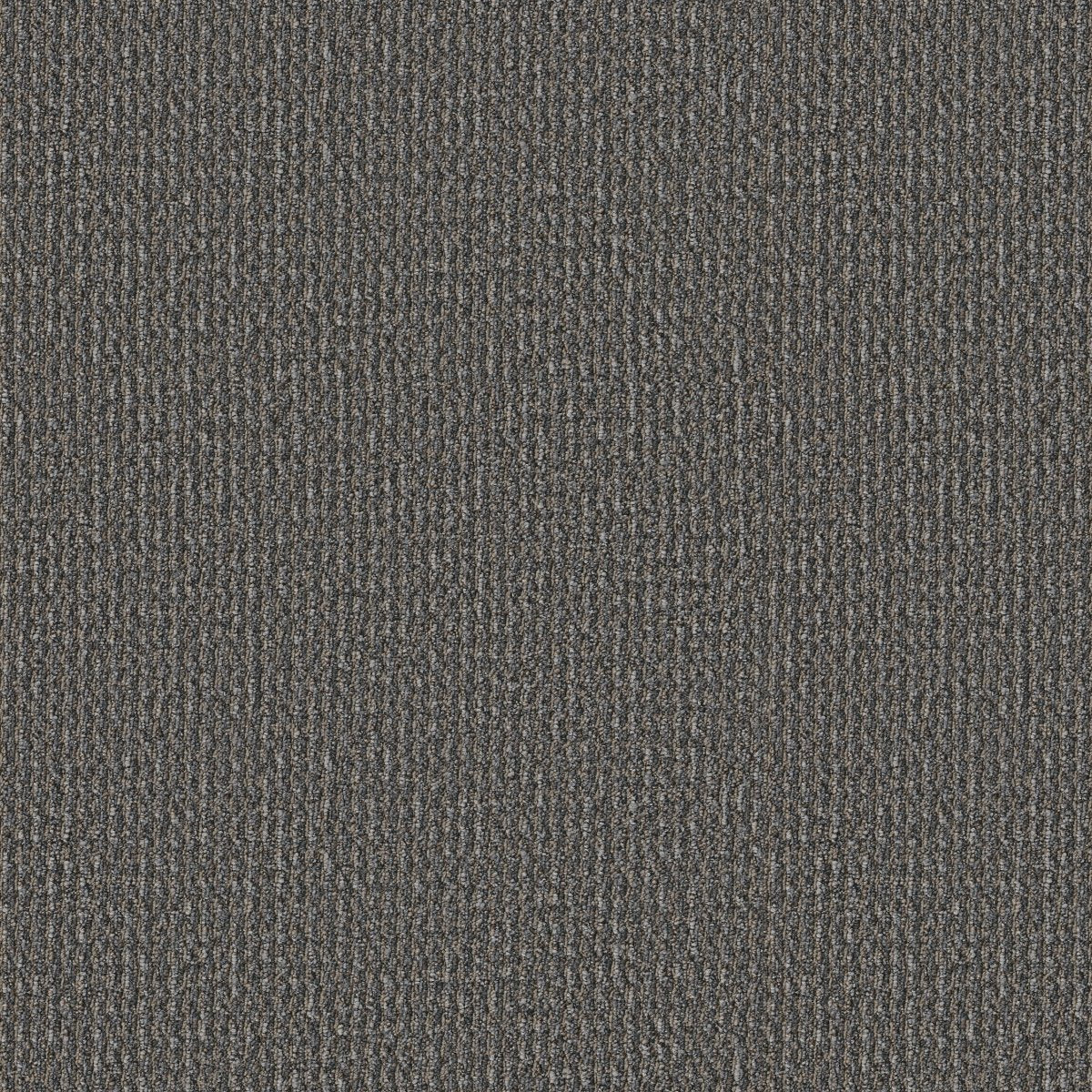 Prelude Preamble 00508