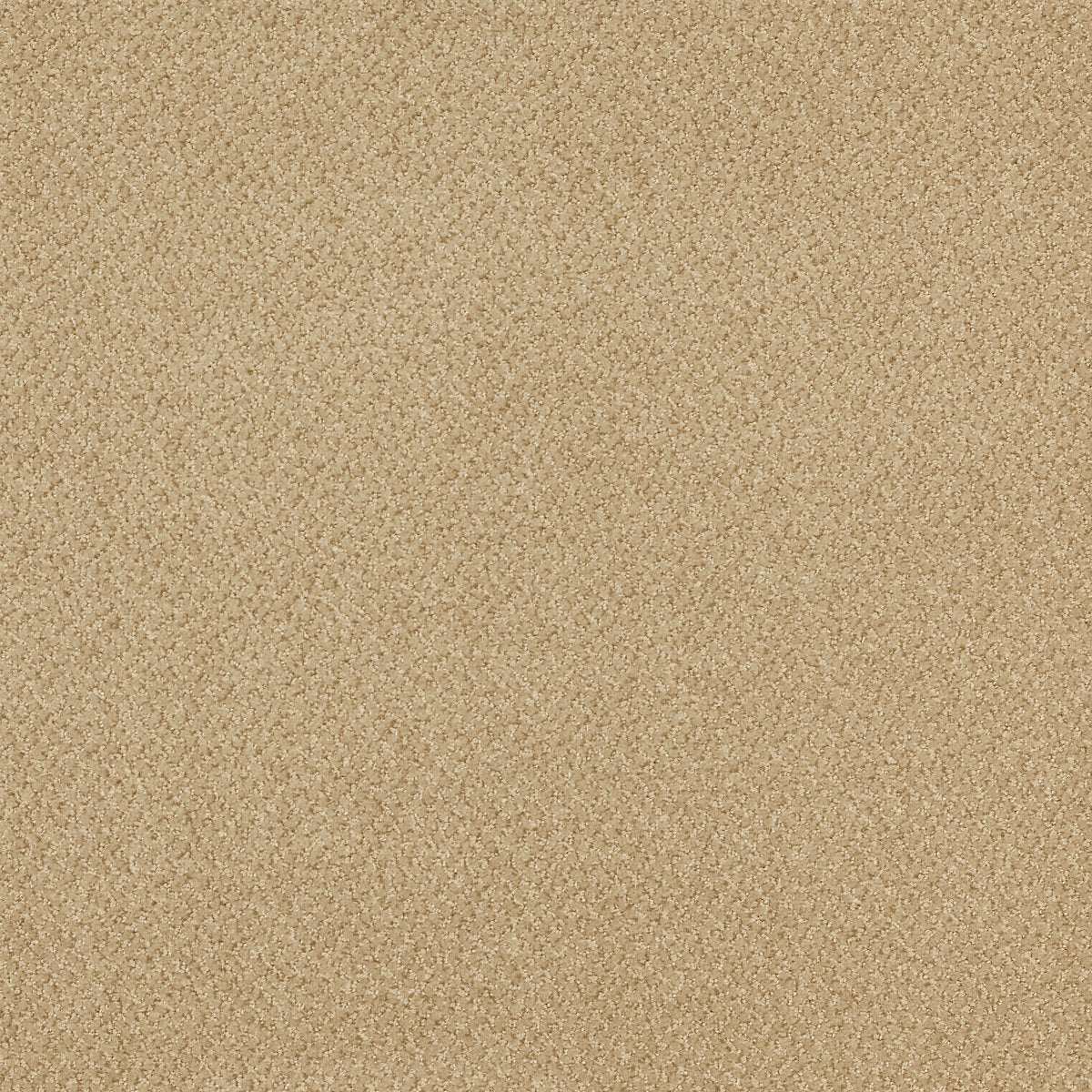 Prestige Cachet 74210